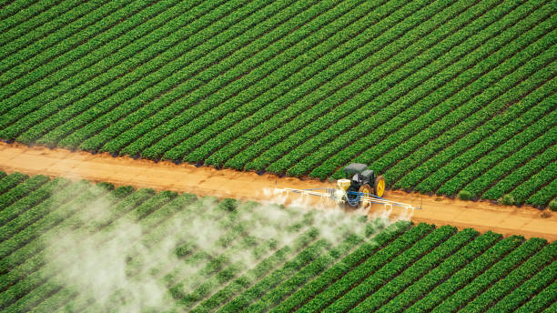 Best Commercial Pest Control Services  in Farmersville, OH
