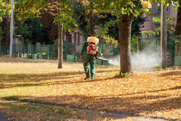 Best Rat Extermination Near Me  in Farmersville, OH