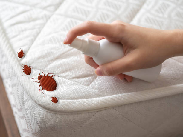 Best Emergency Pest Control  in Farmersville, OH