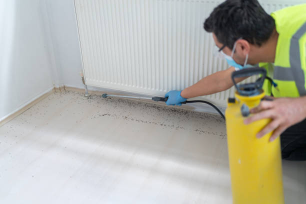 Best Pest Inspection Near Me  in Farmersville, OH